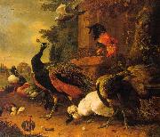 Melchior de Hondecoeter Birds in a Park oil painting reproduction